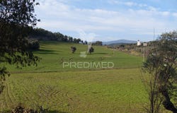 Agrobom, Saldonha e Vale Pereiro, Alfândega da Fé, Bragança District 5350
