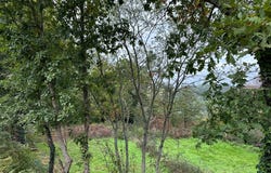 Arganil, Coimbra District
