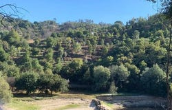 Tábua, Coimbra 3420