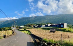 Ilha do Pico, Azores