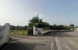 Paialvo, Tomar, Santarém District