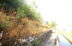 AVES, Porto District