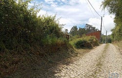 Leiria, Leiria District