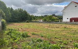 Lanheses, Viana do Castelo District