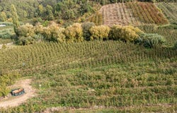 Vimeiro, Leiria District