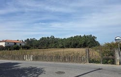 Barcelos, Braga