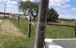 Montemor-o-Novo, Évora District