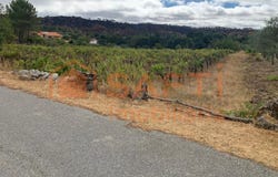 Freixedas, Guarda District