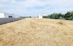 Leiria, Leiria District