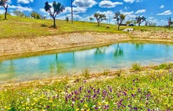 Santiago do Cacém, Setubal 7540