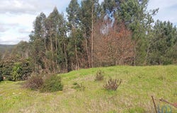 Coimbra, Coimbra District