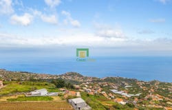 Ponta Do Sol, Madeira 9350