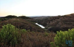 Silves, Faro 8300-018
