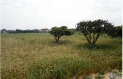 Alcochete, Setúbal 2890