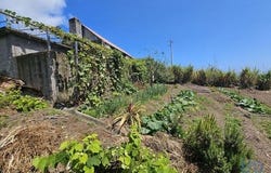Machico, Ilha da Madeira 9225-240