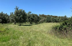 Ourique, Beja District 7670