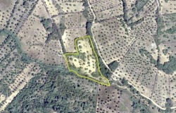 Brogueira, Santarém District