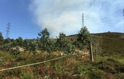 Salamonde, Braga