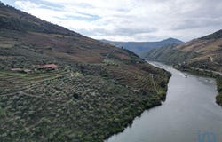 Viseu, Viseu District