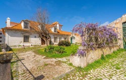 Tavarede, Coimbra District