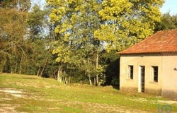 Tomar, Santarém 2300-402