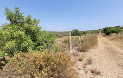 Faro, Algarve 8200