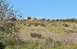 Bensafrim, Algarve