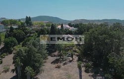 Palmela, Setubal