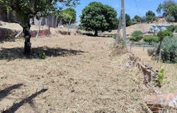 Leiria, Leiria District