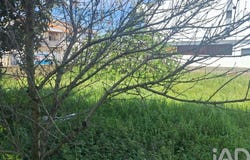 Setúbal, Setubal