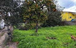 Poiares (Santo André), Coimbra District