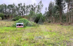 Requeixo, Aveiro District