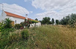Abela, Setubal