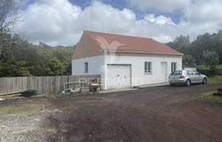 Cedros, Horta, Azores 9900