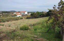 Castelo Branco, Castelo Branco District