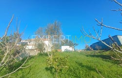 Évora, Évora District 7050