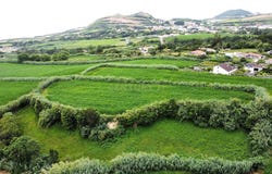 Ilha de São Miguel, Azores