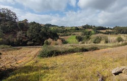 Carvalhal Benfeito, Leiria District