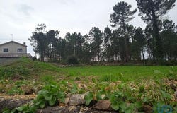Barcelos, Braga 4755-582