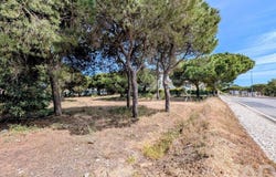 Almancil, Algarve 8135