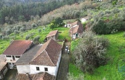 Figueiró dos Vinhos, Leiria 3260-326
