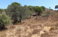 Paderne, Algarve