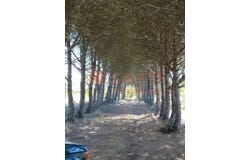 Aljezur, Algarve 8670