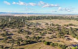 Samora Correia, Santarém 2135