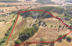 Cercal, Santiago do Cacém, Setubal 7555