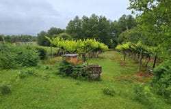 Valença, Viana do Castelo District