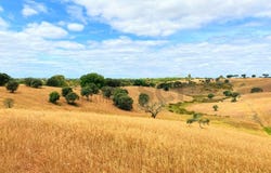 Corte Do Pinto, Beja 7750