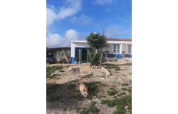 Luz, Algarve