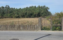 Braga, Braga 4850-242