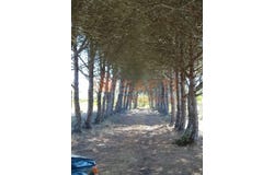 Bordeira, Algarve